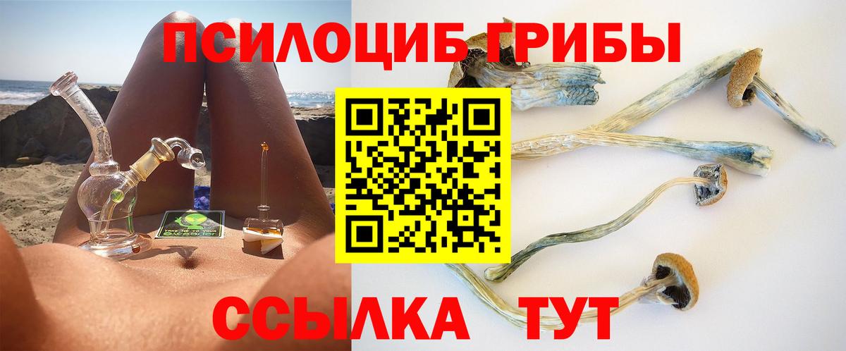 Галлюциногенные грибы Cubensis Татарск